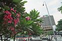 WT 0600 102-21 Singapore